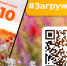 Красноярский округ: загружай лето на максимум! - Администрация Красноярского района