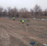 В красноярских селах в рамках федпроекта «Вода России» проводится зачистка берегов рек - Администрация Красноярского района